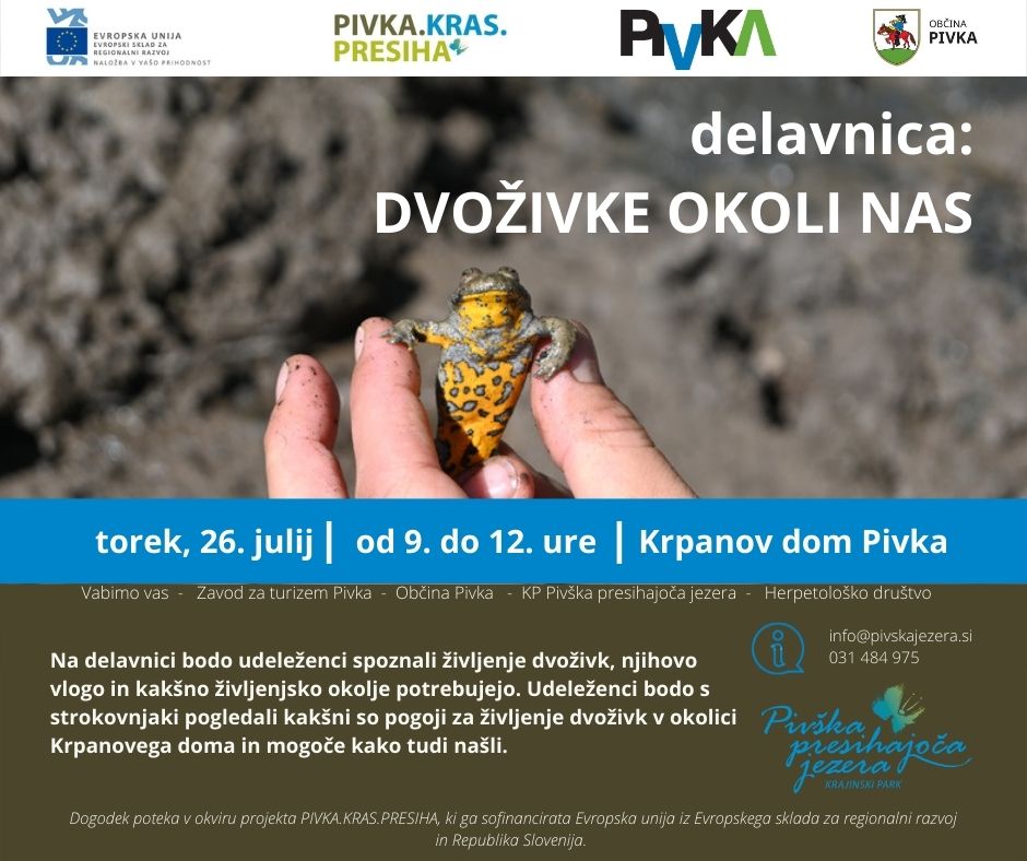 vabilo na delavnico - dvoživke