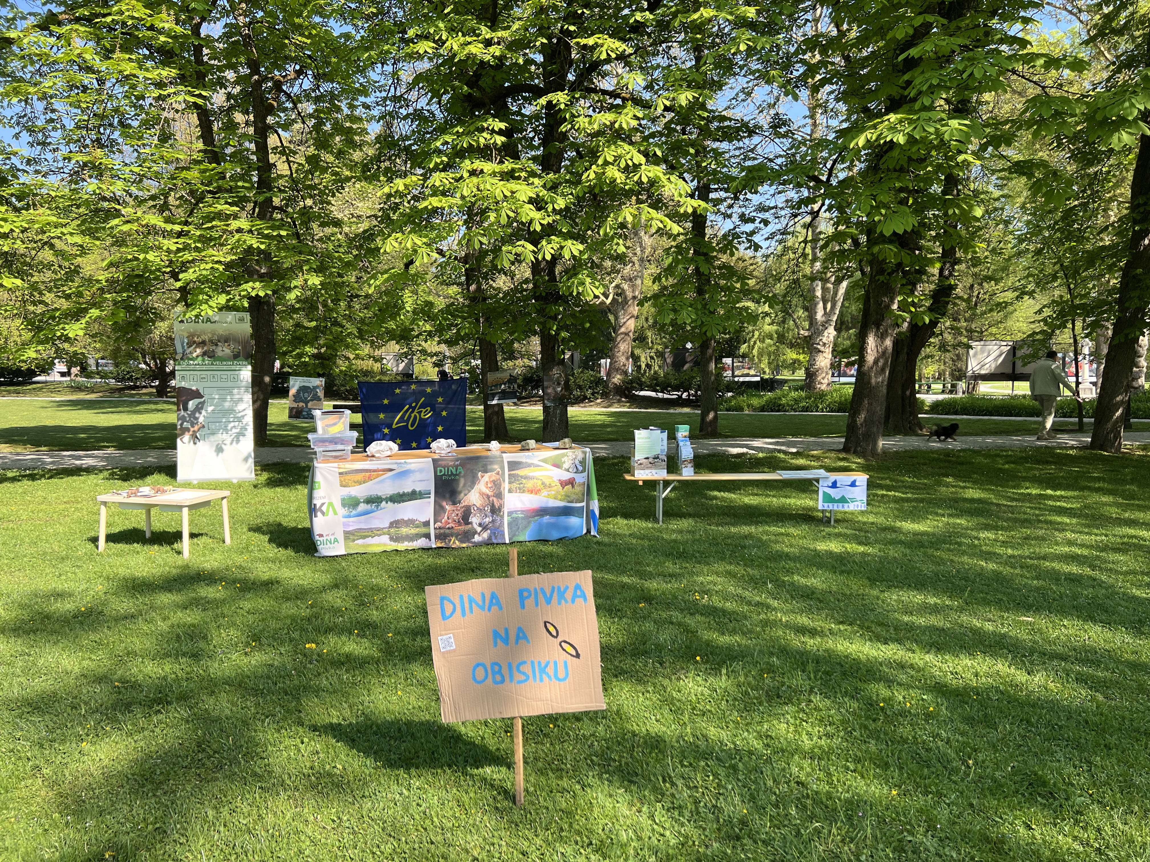 Center DINA Pivka na Taborniškem feštivalu