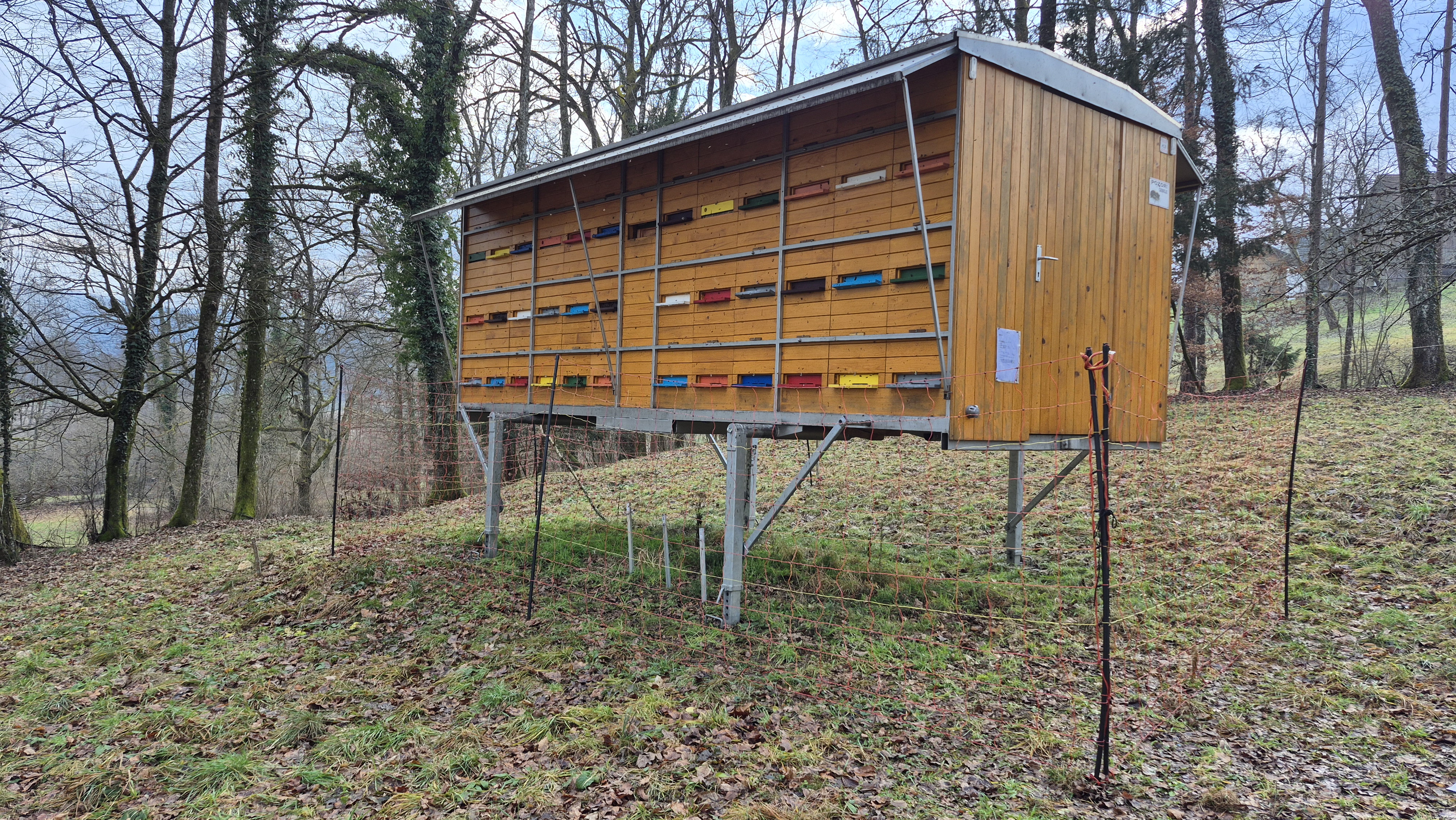 LIFE Varna paša omogoča boljšo zaščito čebelnjakov pred medvedi